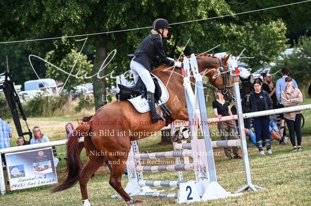 DSC_8445 | Pferde- und Turnierfotografie in Westsachsen. Pferdeportraits, Auftragszeichnungen und intuitive Kunst.