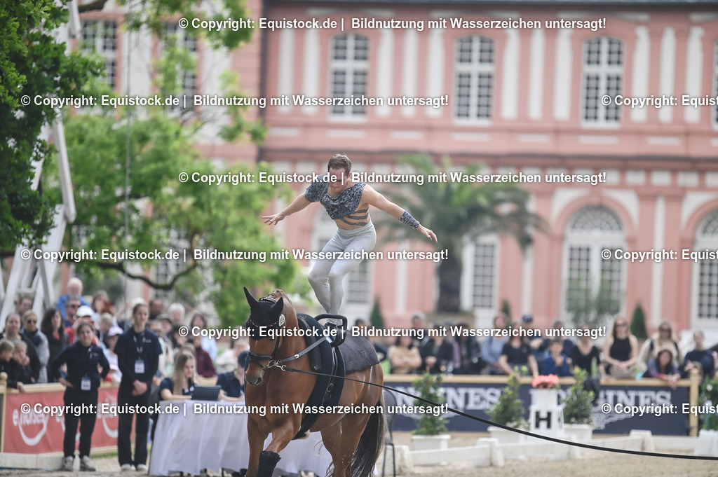 20240519_Voltige_0579 | Foto: Thomas Hartig