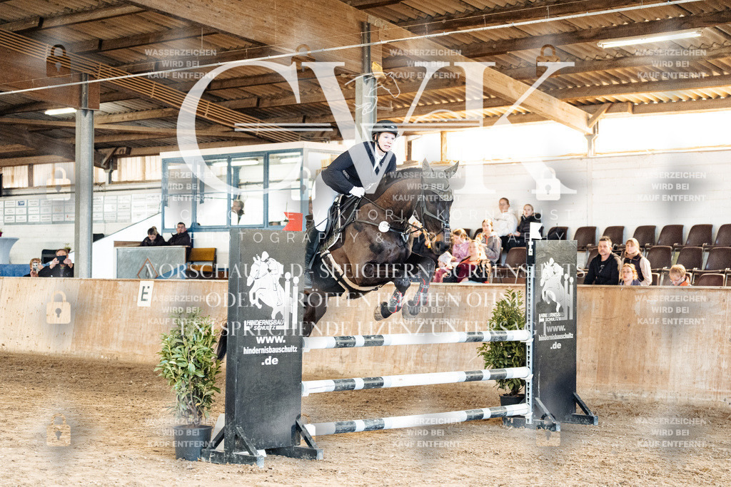 CK904938 | Turnierfotografie Pferdefotografie Trier Rheinland-Pfalz Pferdesport Reitsport Tierfotografie Sportfotografie Pferdevideo Pferdevideografie Equestrianvideography equestrianphotography  - Realisiert mit Pictrs.com