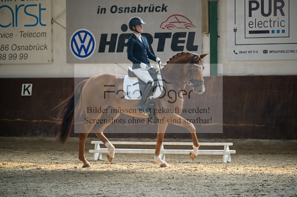Reitturnier Voxtrup | Entdecke hochwertige Reitturnierfotos von Foto Oger. Professionell, emotional und authentisch – jetzt Lieblingsmomente im Shop bestellen.Deutschlandweite Turnierfotografie. - Realisiert mit Pictrs.com