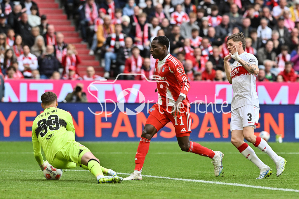 FC Bayern München - VfB Stuttgart | MUNICH, GERMANY - 19. APRIL: tackle between Nicolas JACKSON (FC Bayern Munich 11) and Ramon HENDRIKS (VfB Stuttgart 3) during the Bundesliga Match between FC Bayern Munich vs. VfB Stuttgart at Matchday 30 at Allianz Arena / DFL REGULATIONS PROHIBIT ANY USE OF PHOTOGRAPHS AS IMAGE SEQUENCES AND/OR QUASI-VIDEO