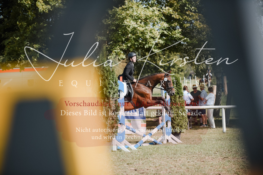 DSC_5263 | Pferde- und Turnierfotografie in Westsachsen. Pferdeportraits, Auftragszeichnungen und intuitive Kunst.