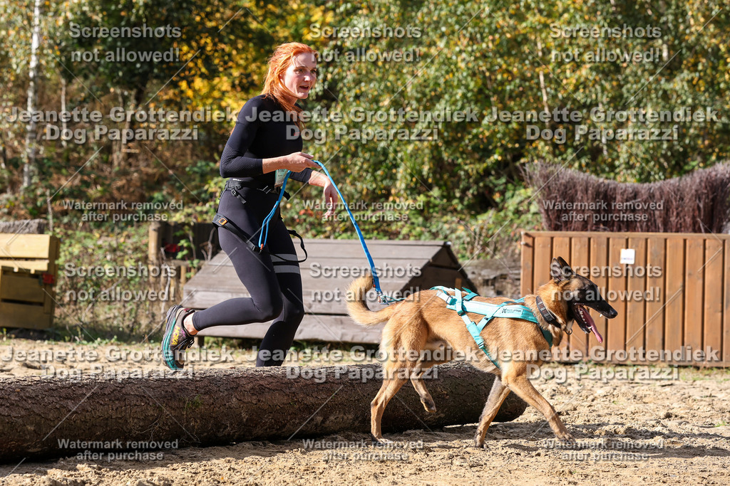 Dog Paparazzi - Strongdog 10-25-5247 | Dog Paparazzi Jeanette Grottendiek Fotografie & Videografie - Realisiert mit Pictrs.com