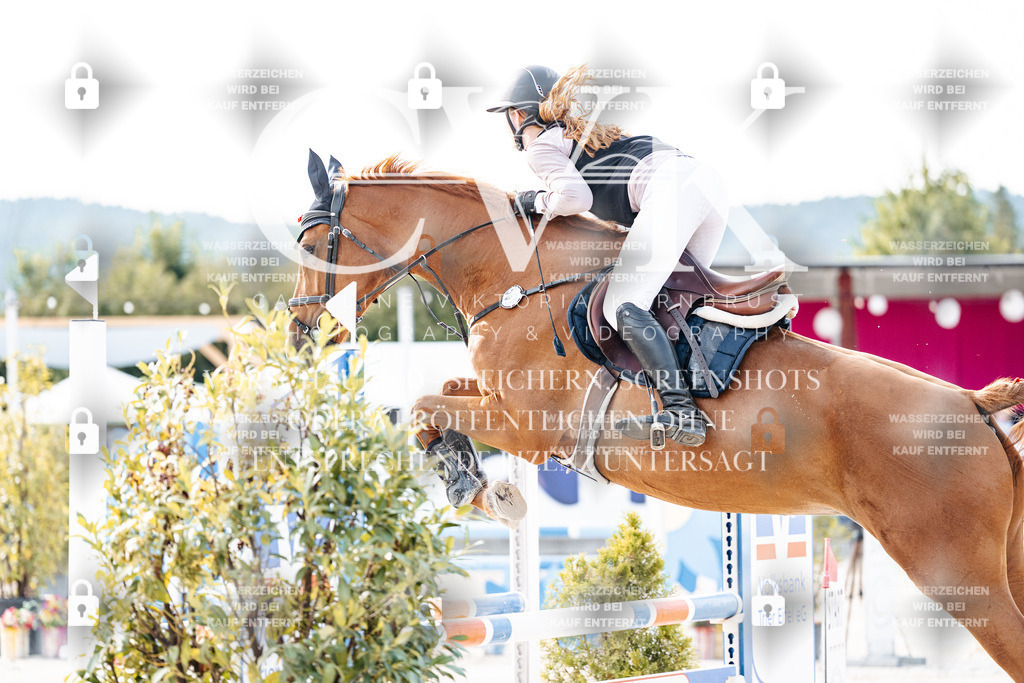 CK906352 | Turnierfotografie Pferdefotografie Trier Rheinland-Pfalz Pferdesport Reitsport Tierfotografie Sportfotografie Pferdevideo Pferdevideografie Equestrianvideography equestrianphotography  - Realisiert mit Pictrs.com