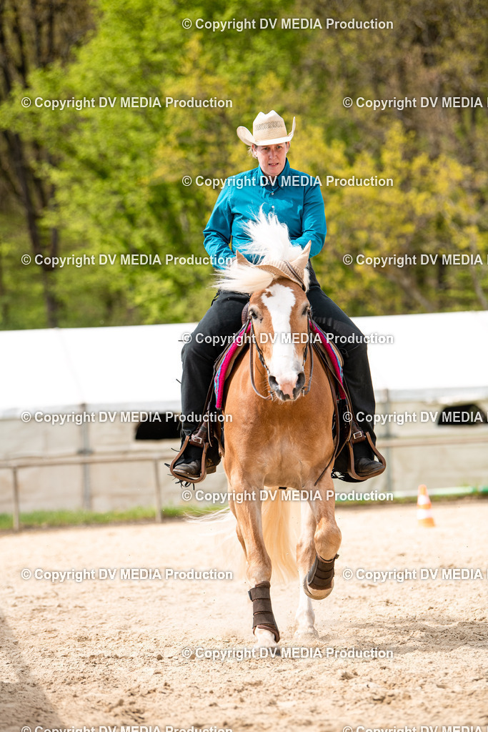 Heiligenwald Tag 1-741 | dv-media-shop - Realisiert mit Pictrs.com