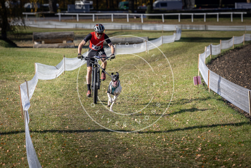 CaniXpix_DV3A5229 | Hundefotografie, Tierfotograf, Pfotenfotografie, Fotoshooting Hund, Hunde Portrait, Hundesport, Hundeportraits, Heideshooting, Hunde, Sportfotograf, Hundefotograf, Turnierhundsport, THS,  - Realisiert mit Pictrs.com