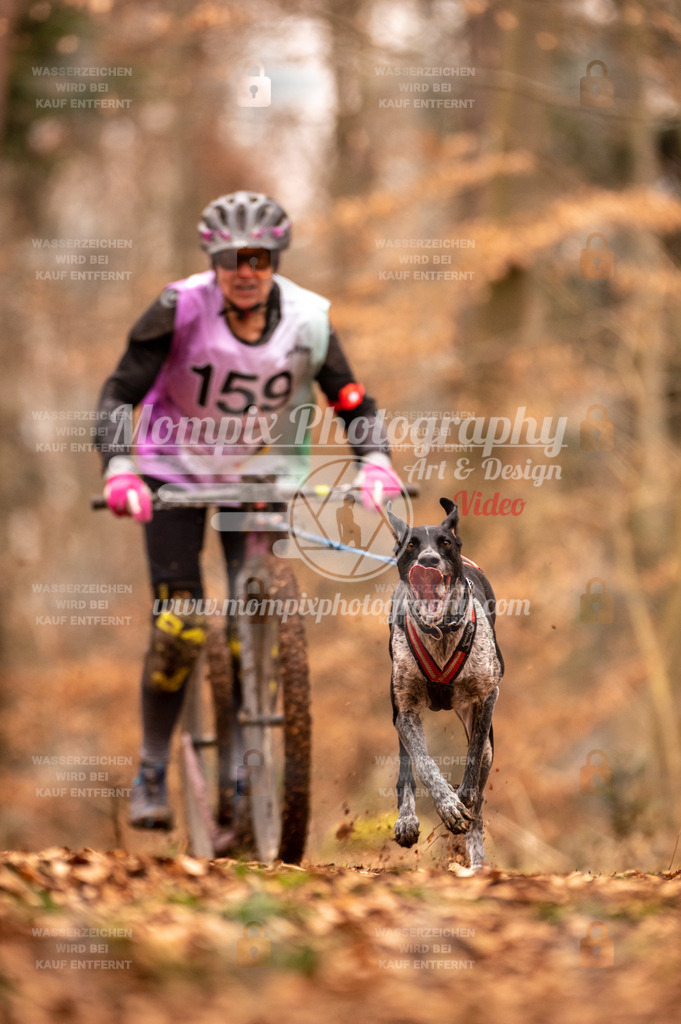 AKM_ST_2023_SAM_Scooter-22 | PayLife