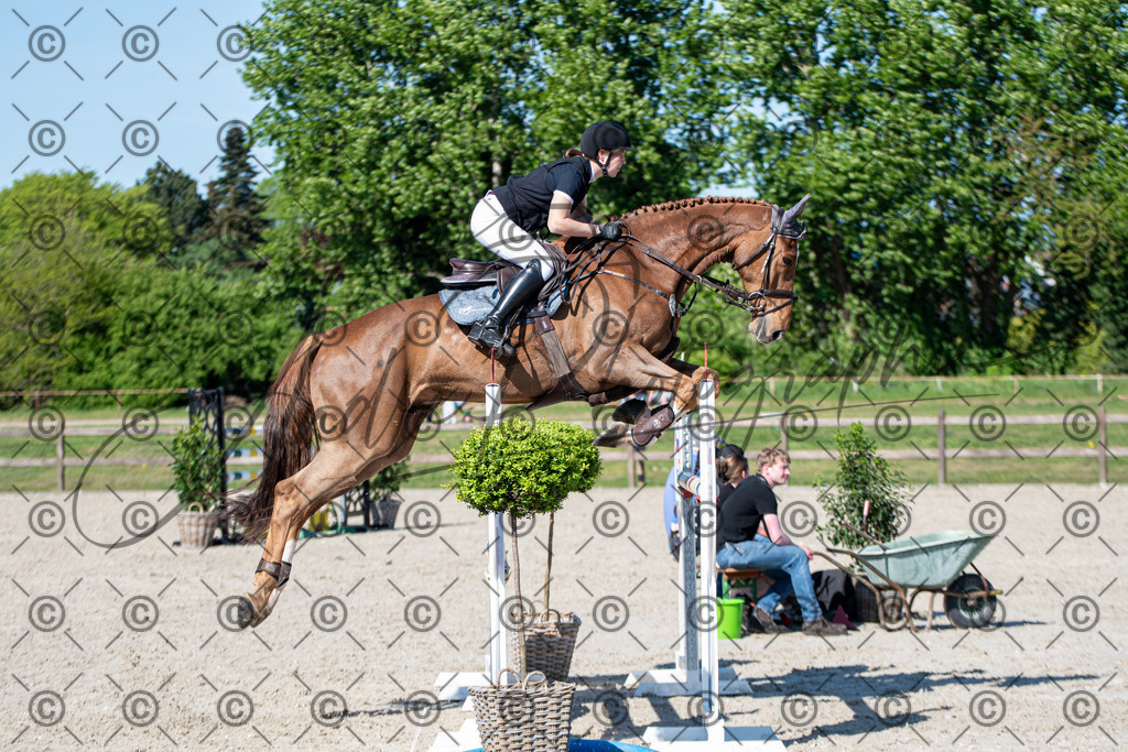 KPT_1670 | andre_photographic