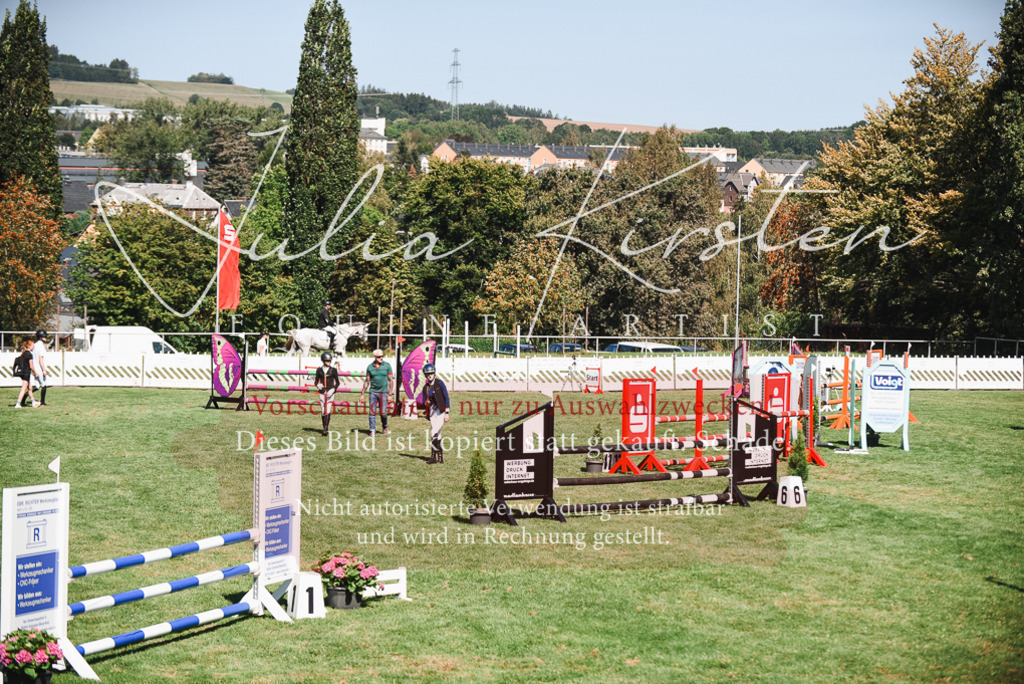DSC_2674 | Pferde- und Turnierfotografie in Westsachsen. Pferdeportraits, Auftragszeichnungen und intuitive Kunst.