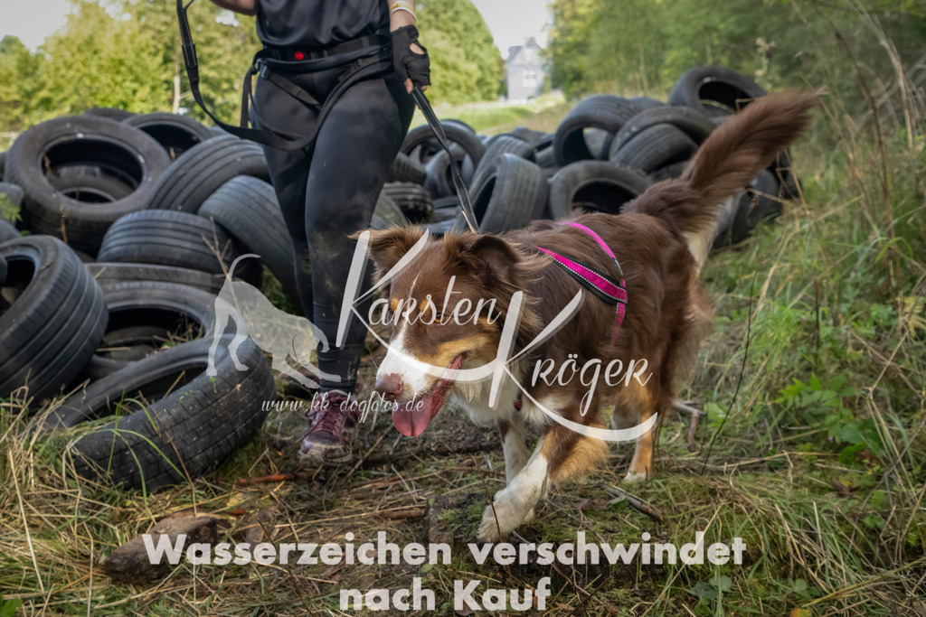 1505_ZZ91106-Bearbeitet | kk-dogfotos