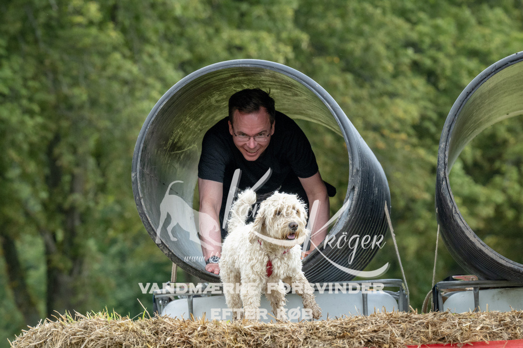 1129_ZZ94367 | kk-dogfotos