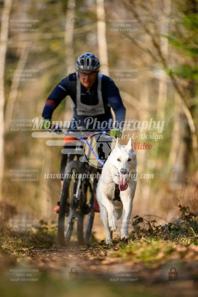 MompixPhotography_6ReiatRennen2026_SO_Bike-58 | PayLife