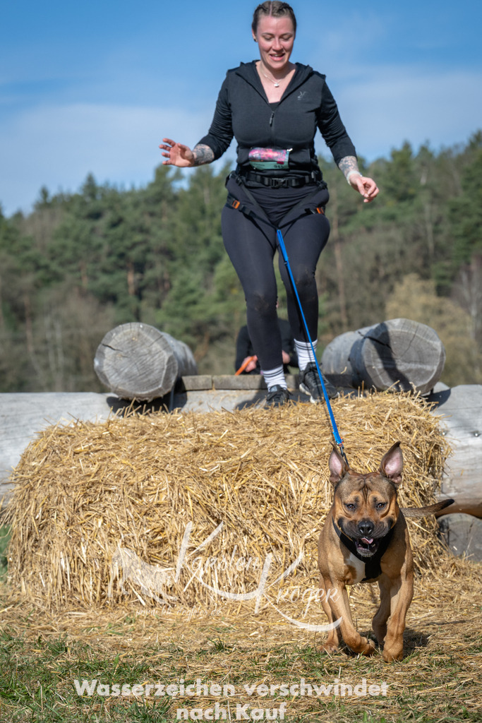 0935_ZZ94233 | kk-dogfotos