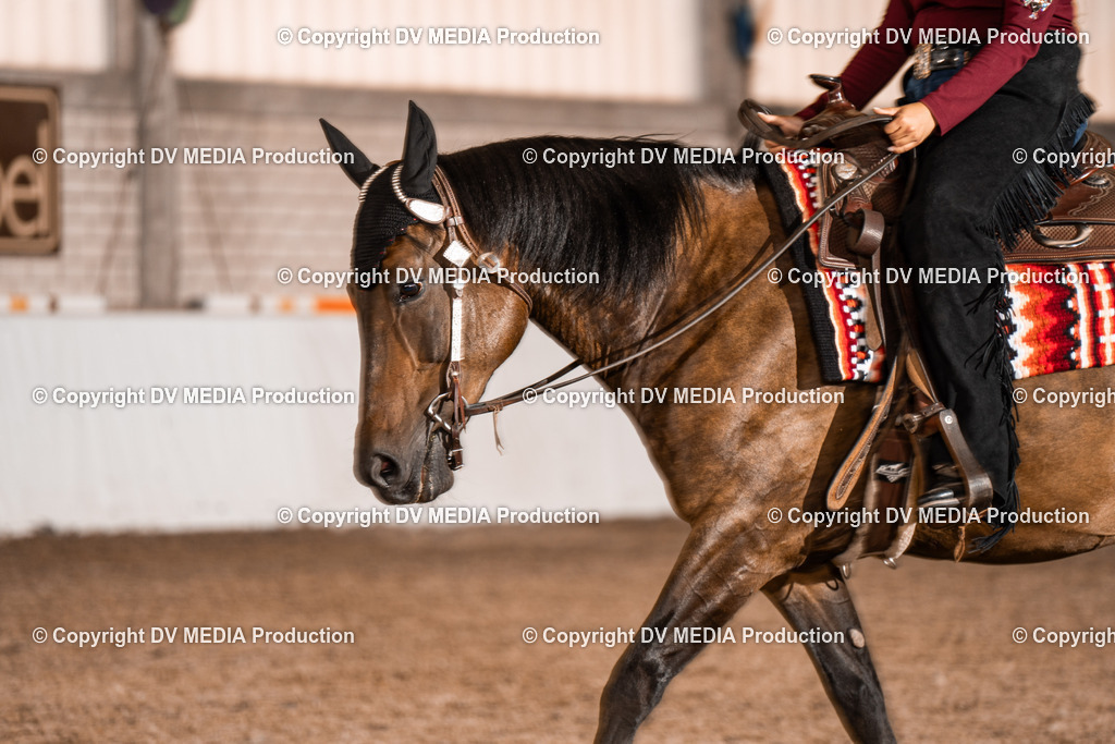 ZH200352 | dv-media-shop - Realisiert mit Pictrs.com