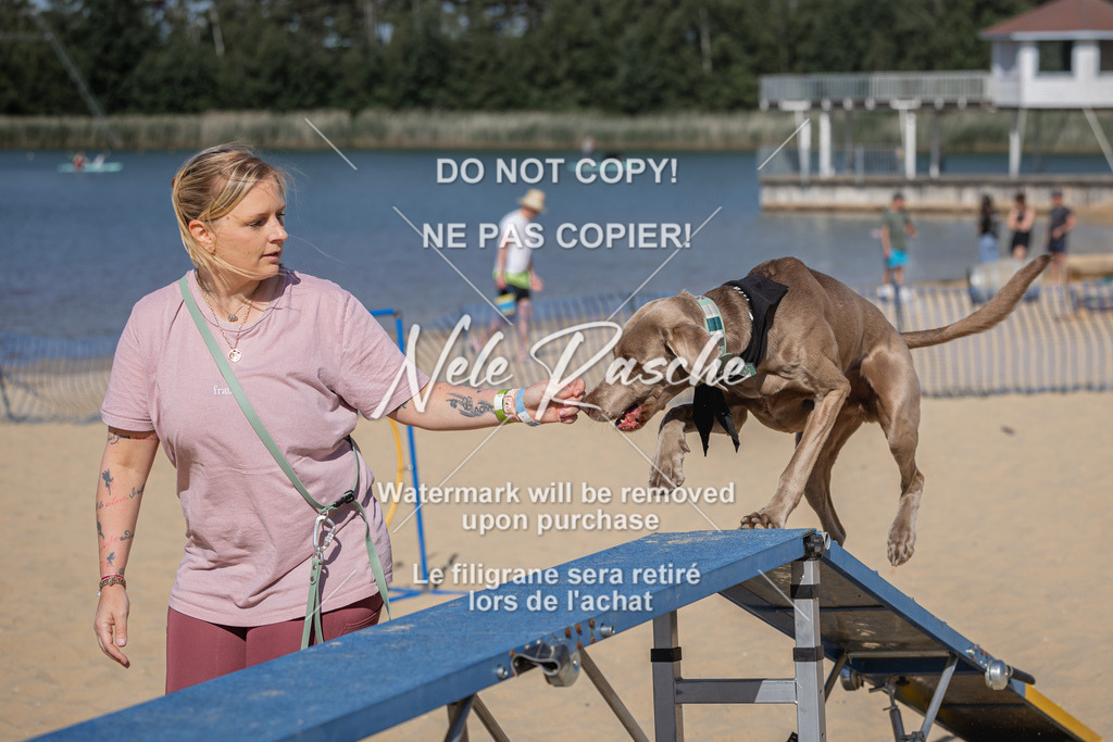 nelerasche_saBeachility_117 | nelerasche