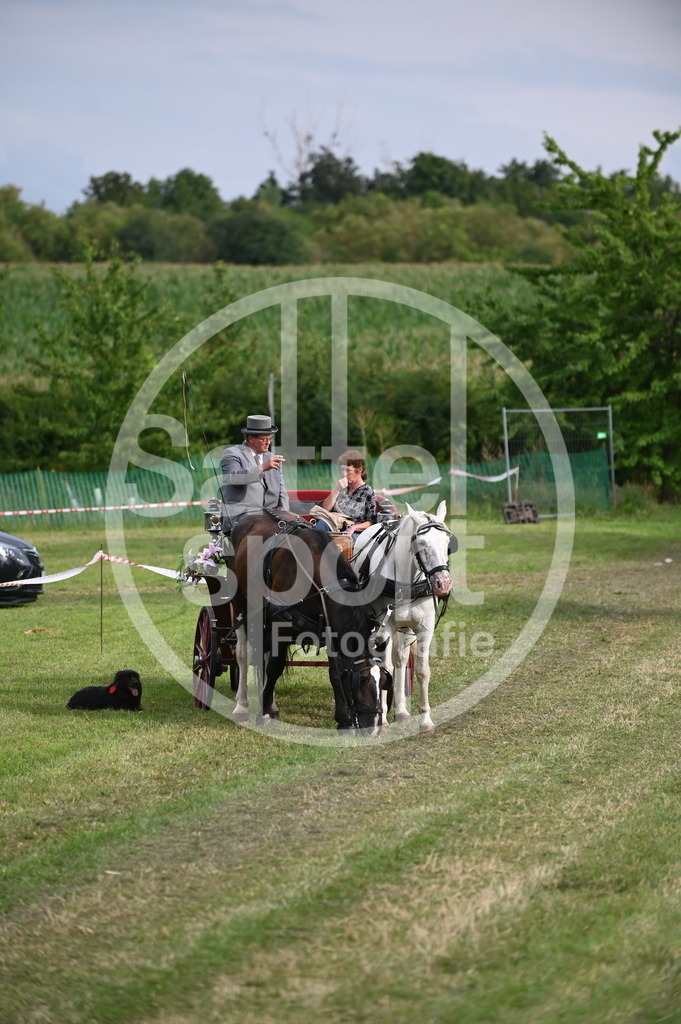 DSC_3626 | sattelsport - Realisiert mit Pictrs.com