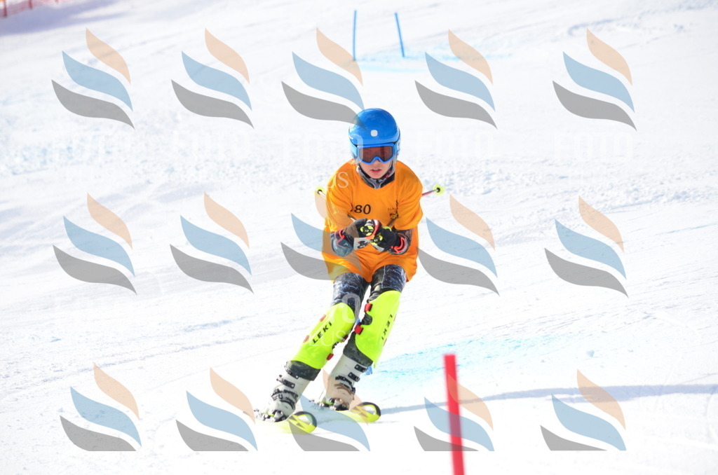 C7989 | holidayphoto