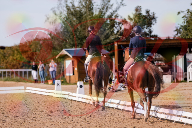 2026_10_03_Siefer-Hof_133136_Z81_86000741 | Professionelle Reitsport-, Turnier- und Eventfotografie von Robert Broda. Galerien mit ausgewählten und bearbeiteten Bildern direkt online ansehen und bestellen.