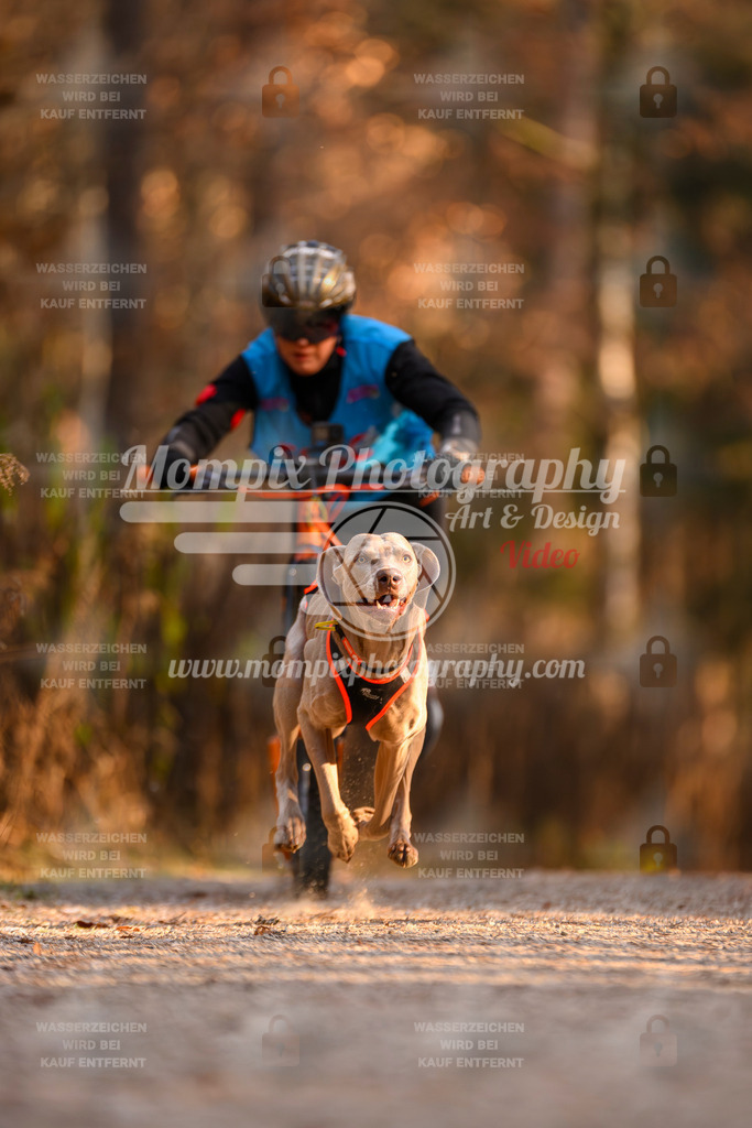 MompixPhotography_DM_AKDM_SO_2025_Scooter-187 | PayLife