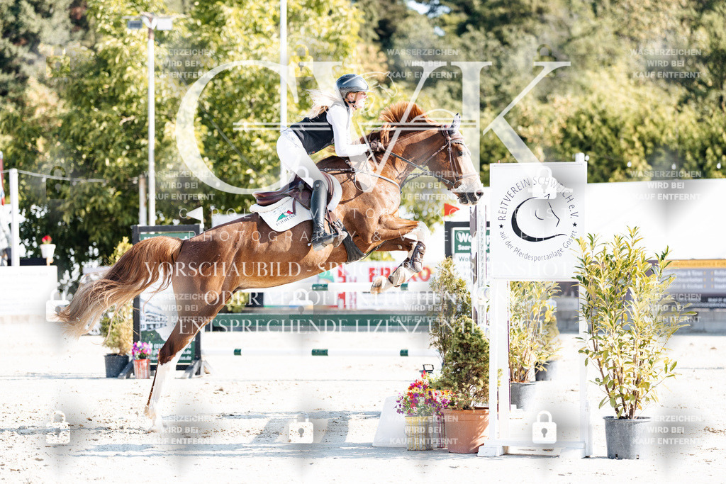CK901874 | Turnierfotografie Pferdefotografie Trier Rheinland-Pfalz Pferdesport Reitsport Tierfotografie Sportfotografie Pferdevideo Pferdevideografie Equestrianvideography equestrianphotography  - Realisiert mit Pictrs.com