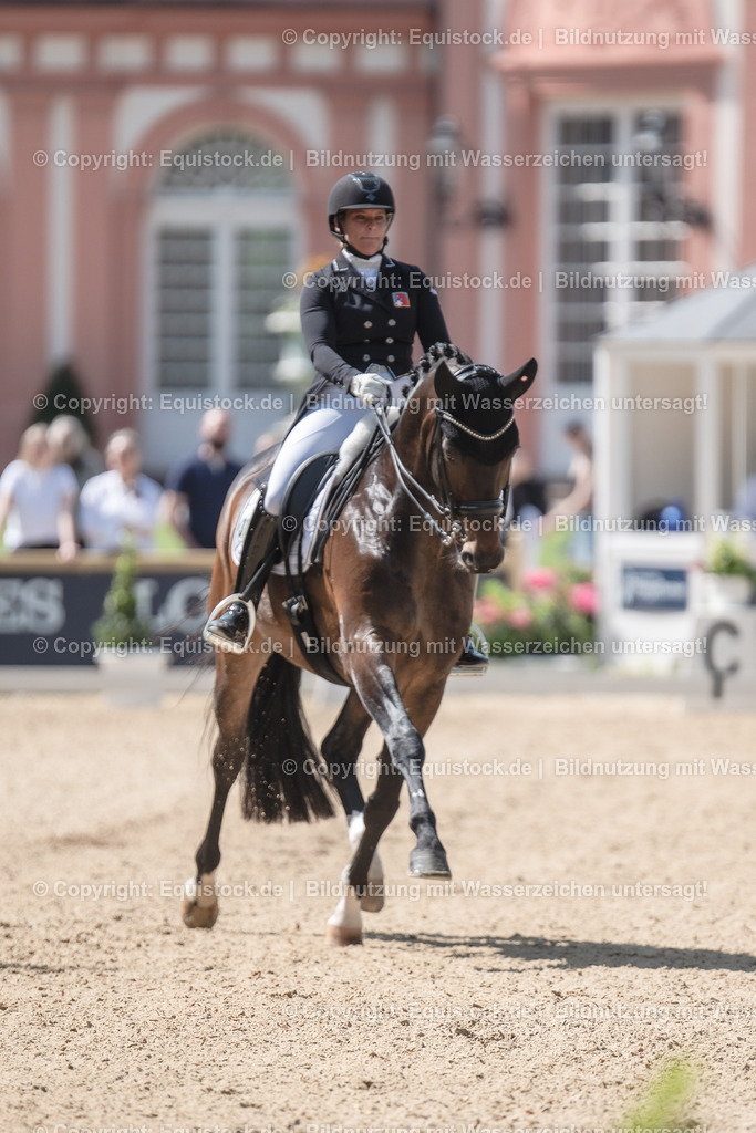 20230528_03_GP-Special-Tour_0027 | equistock