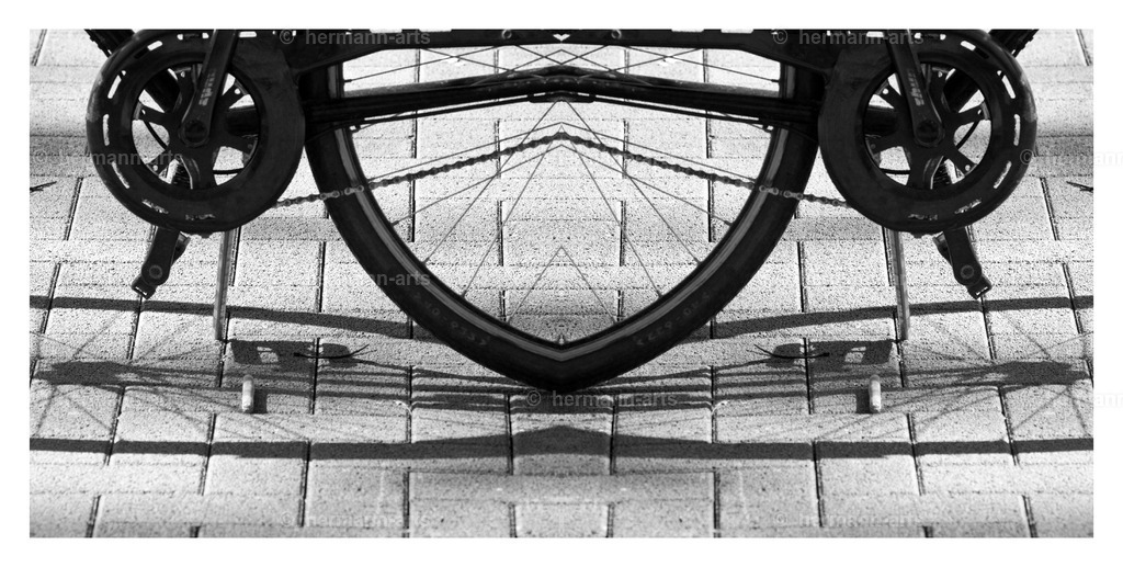 Hermann-Arts_Spiegelbilder_064 | Photo Foto Kunst Art schwarzweiss Bilder Rheine Münster Berlin Blumen 