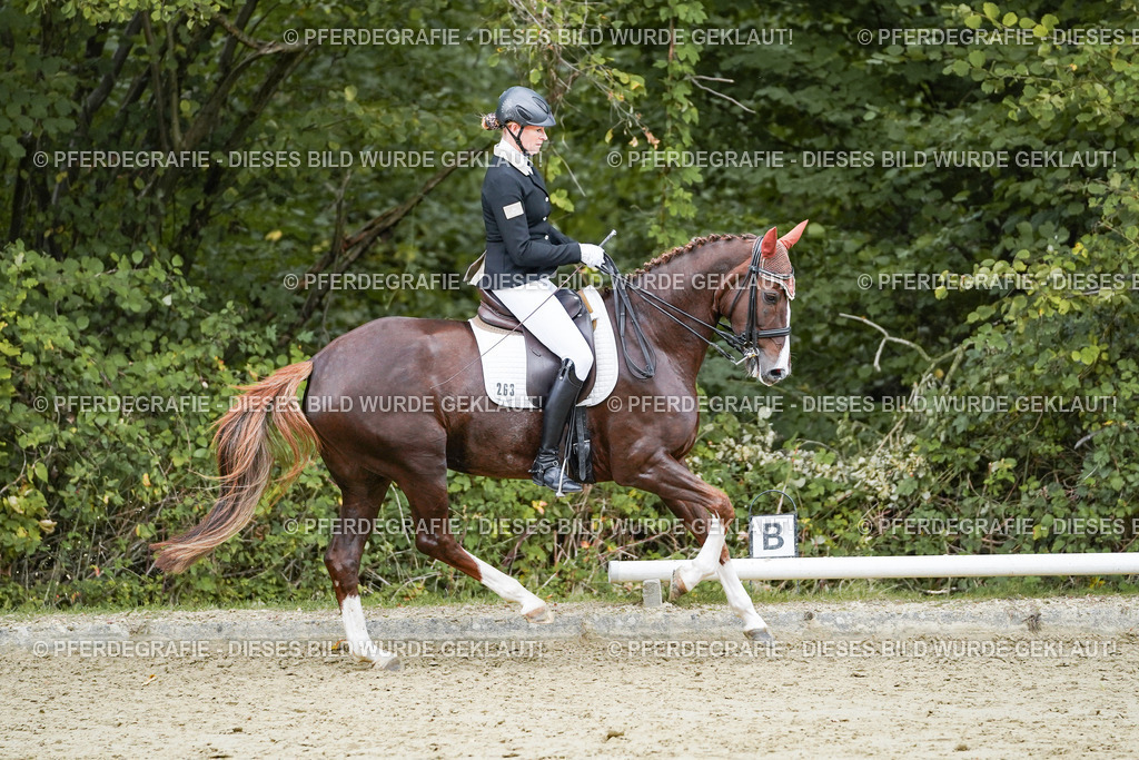 DSC06855 | Pferdegrafie