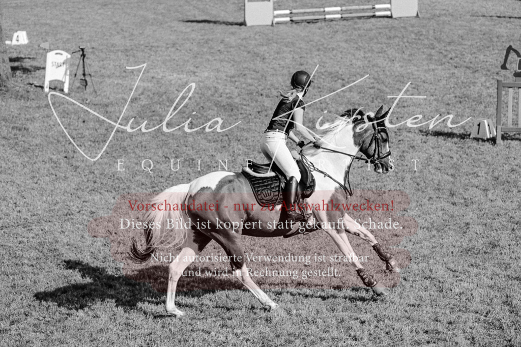 DSC_2397 | Pferde- und Turnierfotografie in Westsachsen. Pferdeportraits, Auftragszeichnungen und intuitive Kunst.