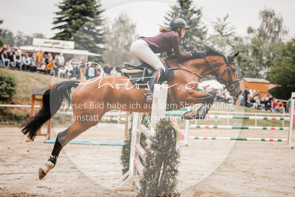 3I6A2202 | Stimmungsvolle Portraits und Reitsportfotografie im Ruhrgebiet und im Münsterland.

Pferdefotografie, Hundefotografie, Tierfotografie, Reportagen, Portraits von Tier und Mensch, Turnierfotografie in Bochum, Recklinghausen, Marl, Haltern am See, Dülmen.. - Realisiert mit Pictrs.com