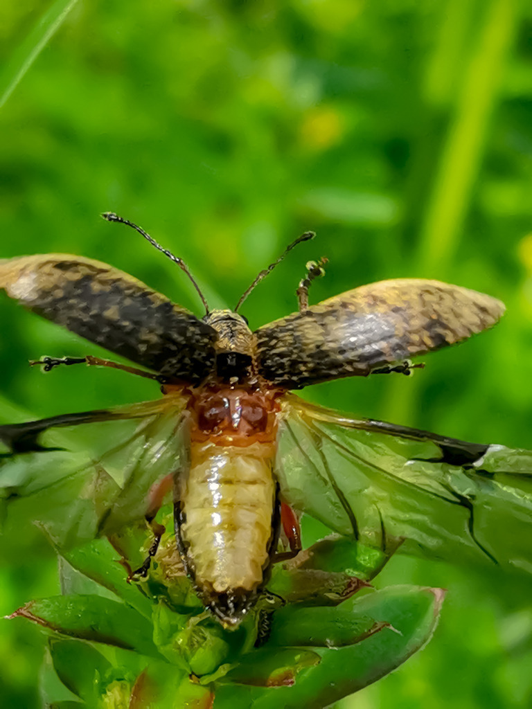 PSX_20230515_224159 | mtkfoto_ - Realisiert mit Pictrs.com