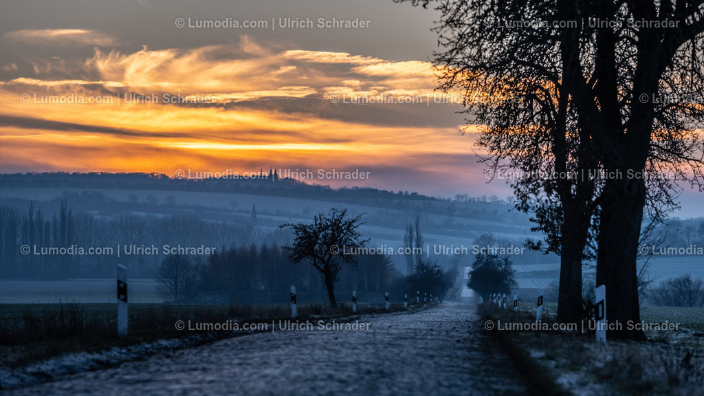 10049-12637 - Winterabend am Huy | Stockfoto und Bilderpool mit Bildmaterial aus Deutschland, dem Harz, Halberstadt, Quedlinburg, Wernigerode und weltweit. Qualitativ hochwertige und professionelle Fotos anschauen und kaufen. - Realisiert mit Pictrs.com