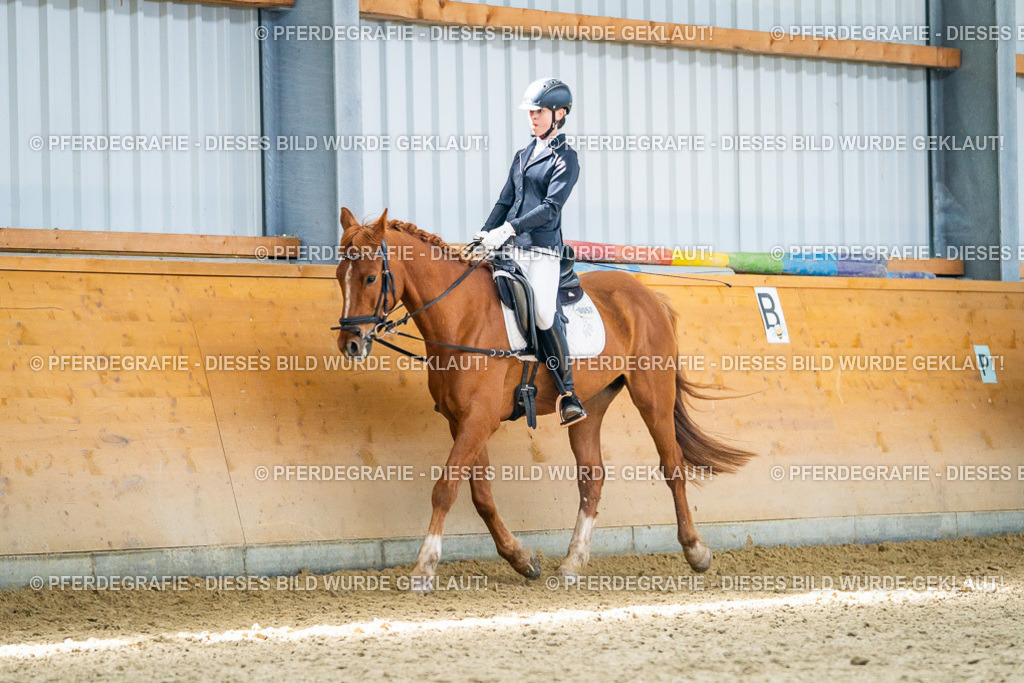 DSC03215 | Pferdegrafie