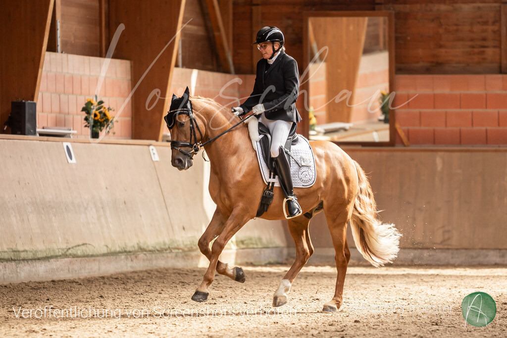 250912_Barop_08_049 | farbklaex.com