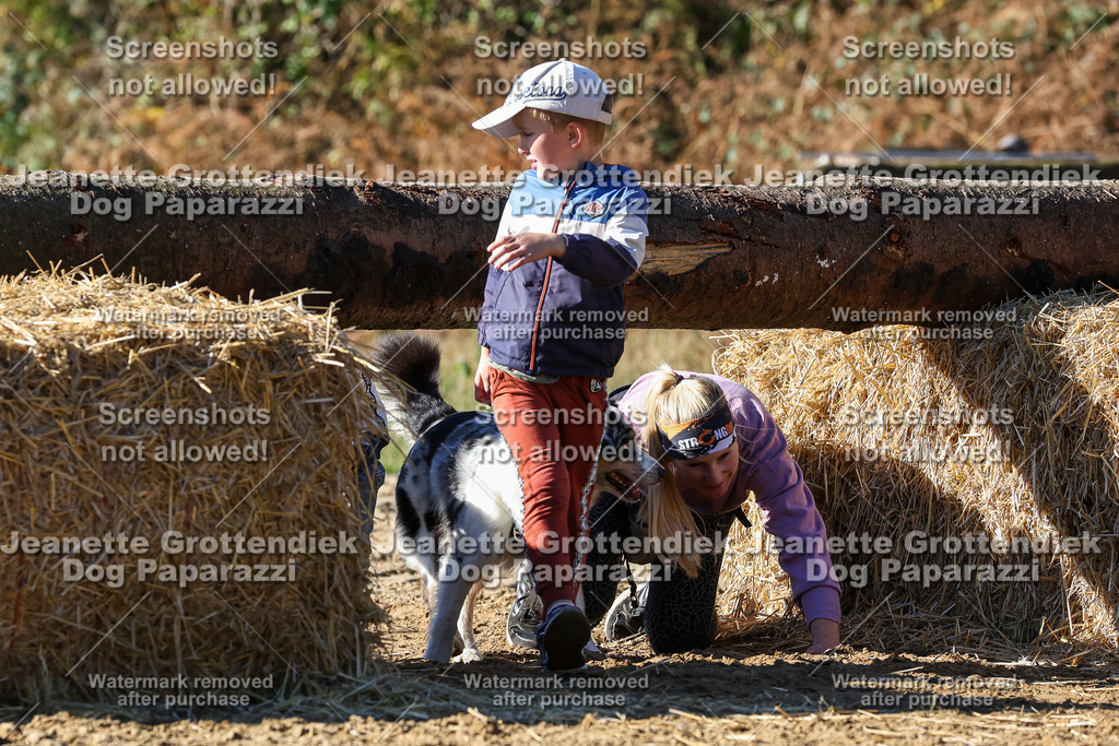 Dog Paparazzi - Strongdog 10-25-2719 | Dog Paparazzi Jeanette Grottendiek Fotografie & Videografie - Realisiert mit Pictrs.com