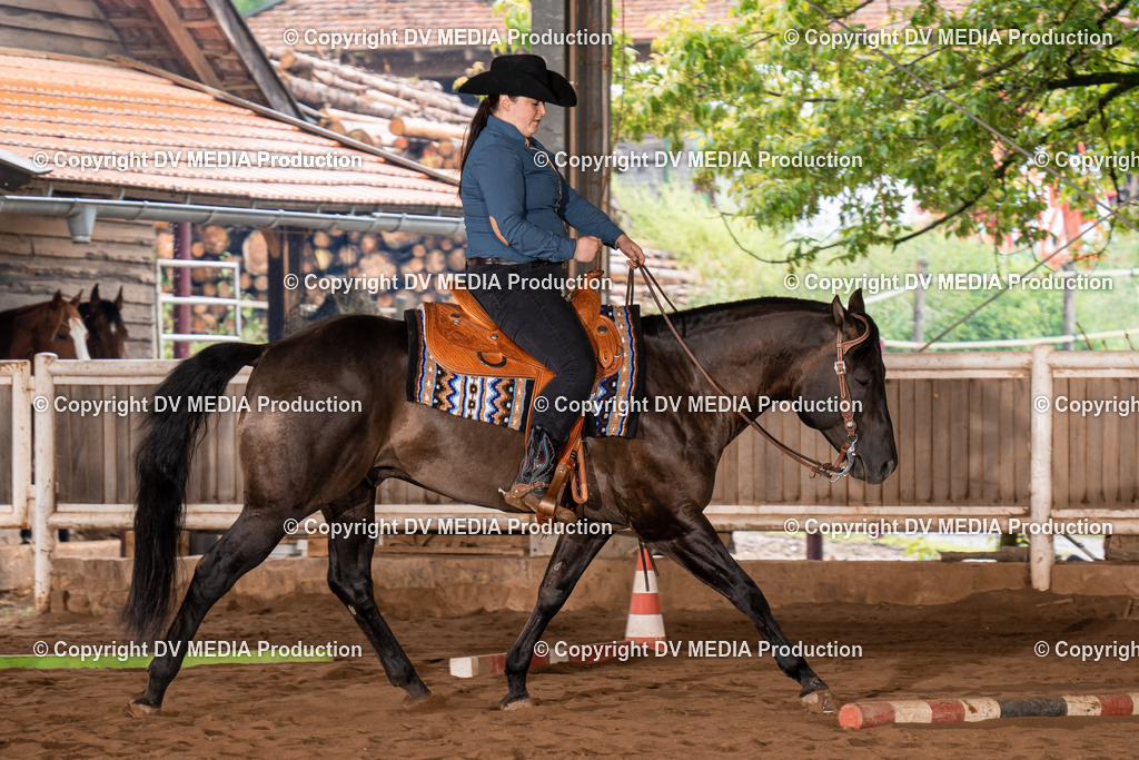 Erbach Tag 3-313 | dv-media-shop - Realisiert mit Pictrs.com