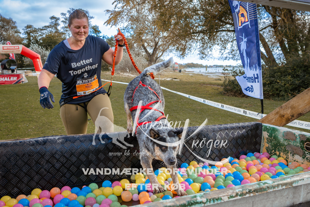 1509_ZZ96047 | kk-dogfotos