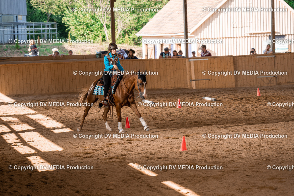 NE101142 | dv-media-shop - Realisiert mit Pictrs.com