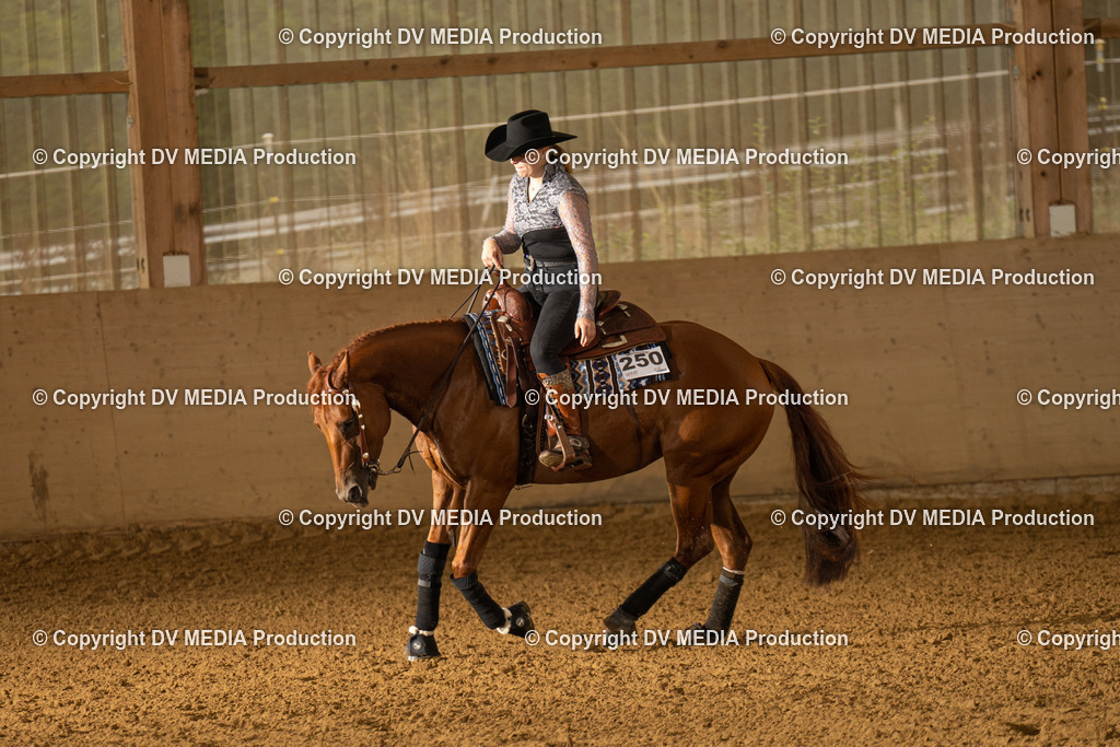 LAU00920 | dv-media-shop - Realisiert mit Pictrs.com