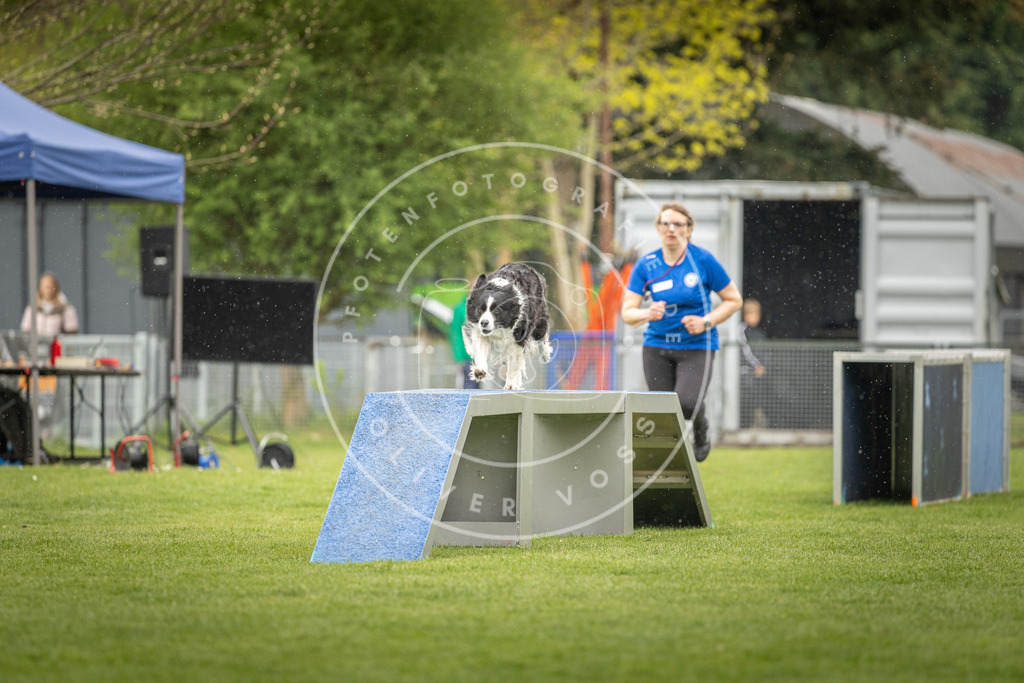 Pfotenfotografie_DV3A3232 | Hundefotografie, Tierfotograf, Pfotenfotografie, Fotoshooting Hund, Hunde Portrait, Hundesport, Hundeportraits, Heideshooting, Hunde, Sportfotograf, Hundefotograf, Turnierhundsport, THS,  - Realisiert mit Pictrs.com