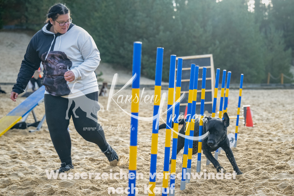 0905_ZZ91826-Bearbeitet | kk-dogfotos