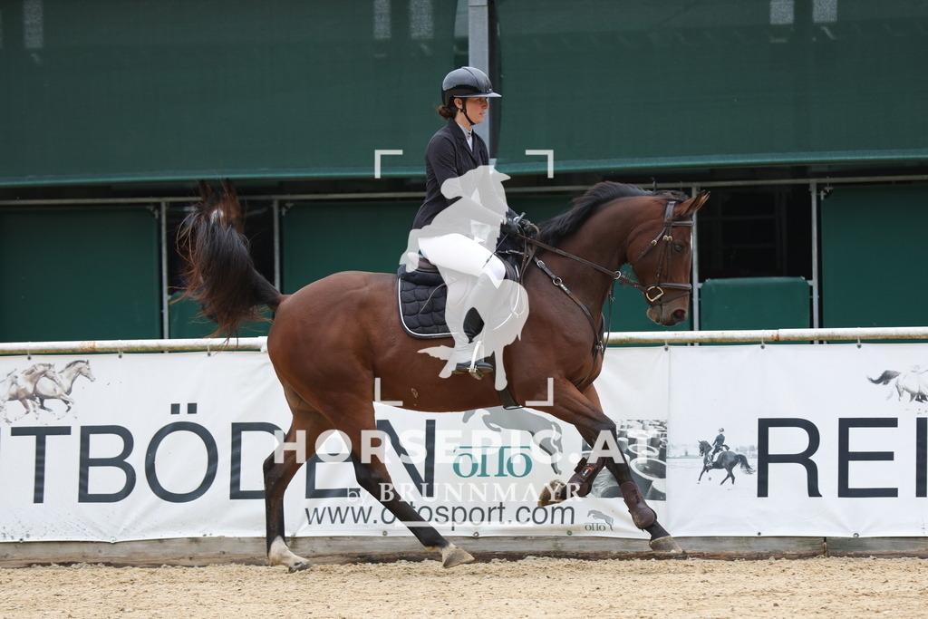 0P6A5519 | Willkommen bei Brunnmayr - Design & Fotografie – Ihrem Spezialisten für Reitturniere und Pferdeveranstaltungen in Oberösterreich, Salzburg und Bayern! Seit über 17 Jahren sind wir leidenschaftlich dabei.