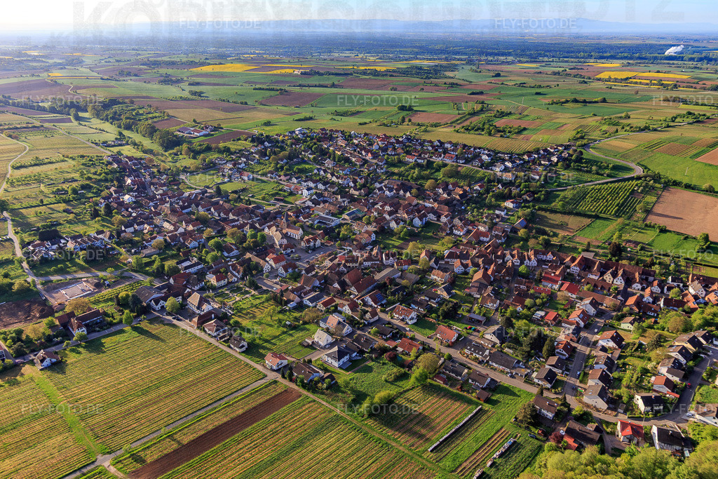 Winzerdorf an der deutschen Weinstraße aus Nordwesten | Luftbild: Winzerdorf an der deutschen Weinstraße aus Nordwesten in Oberotterbach im Bundesland Rheinland-Pfalz in Deutschland. Foto: IMG_106998.jpg vom 27.04.2018 durch Werner Riehm/FLY-FOTO.de - Realisiert mit Pictrs.com