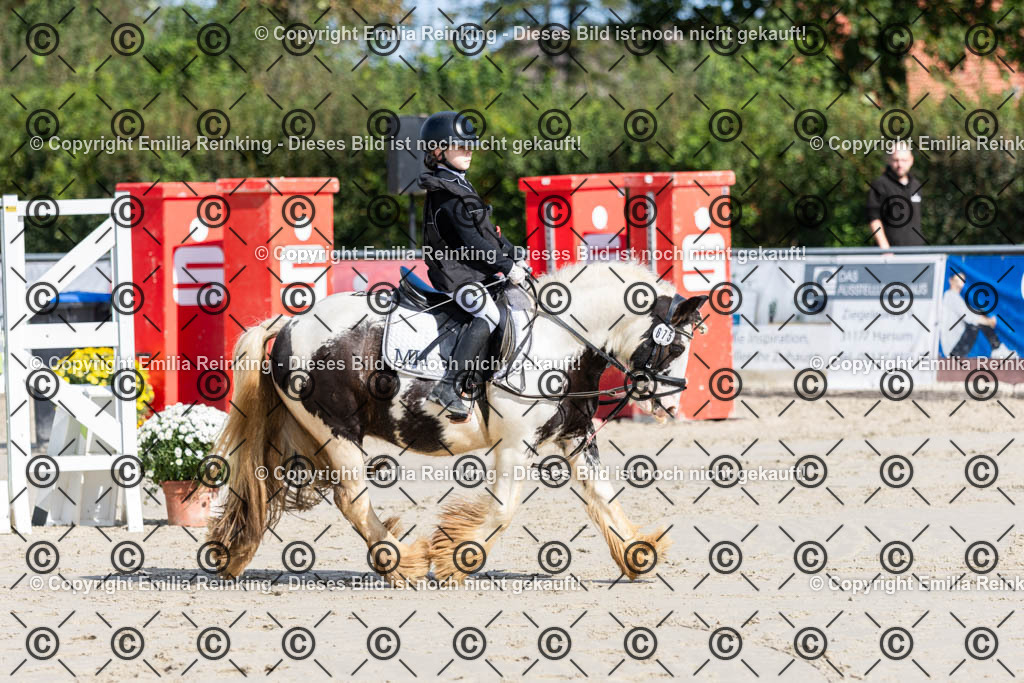 CL5A1839 | Emilia Reinking Fotografie - Realisiert mit Pictrs.com