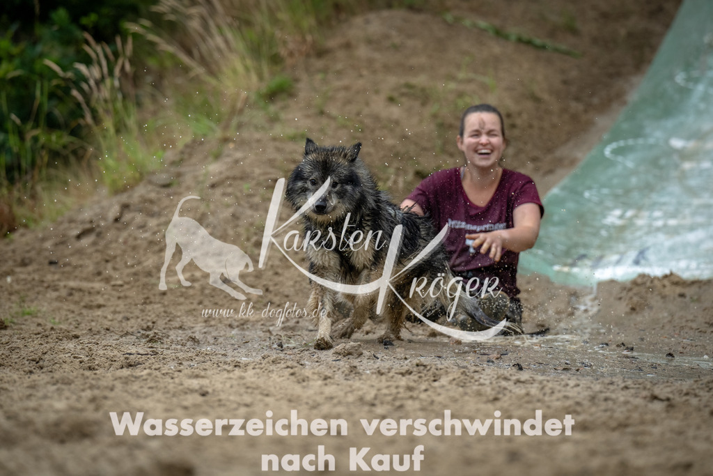 1245_ZZ94617-Bearbeitet | kk-dogfotos