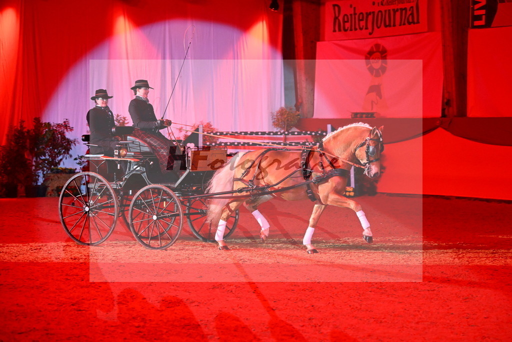 DSP_Avici_As_Karosser_2254524 | hf-fotografie - Realisiert mit Pictrs.com