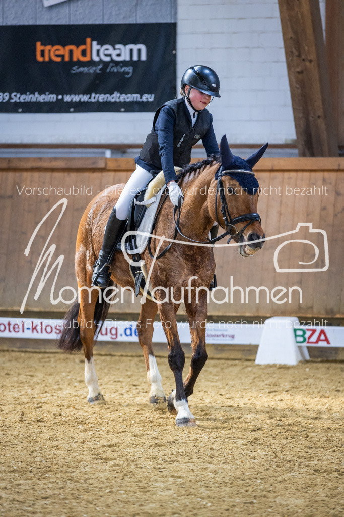 _M2A2077 | MomenTaufnahmen Pferdesportfotos