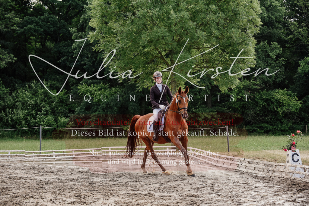 DSC_9719 | Pferde- und Turnierfotografie in Westsachsen. Pferdeportraits, Auftragszeichnungen und intuitive Kunst.