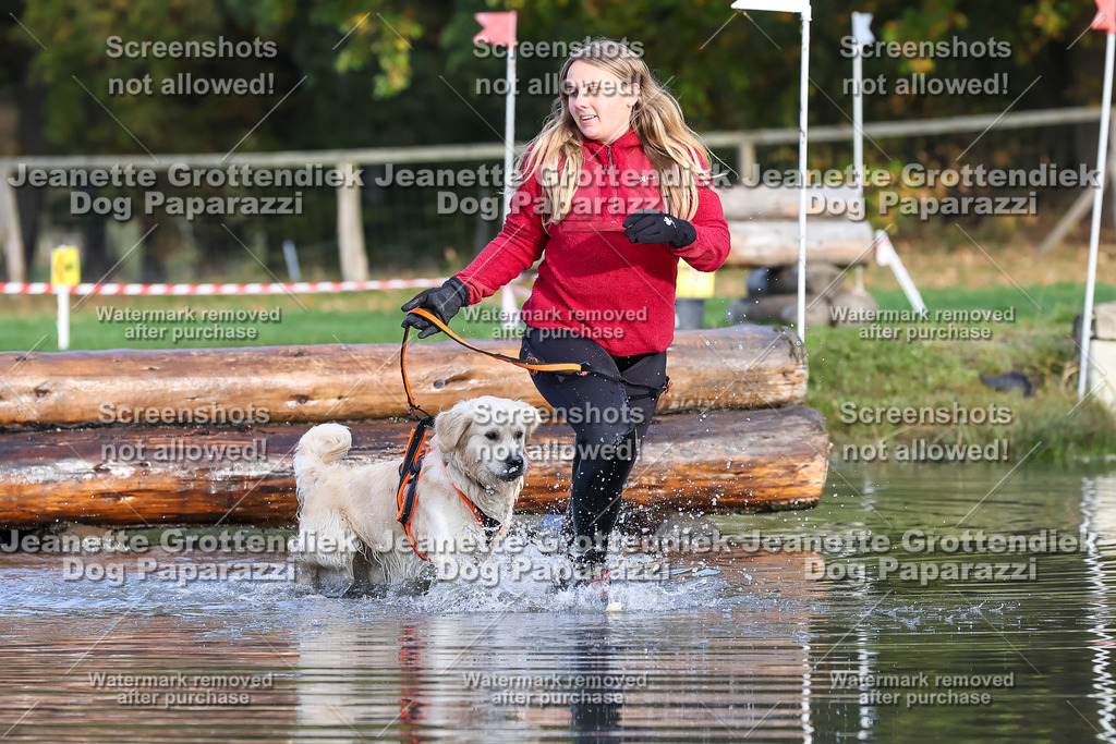 Dog Paparazzi - Strongdog 10-25-8226 | Dog Paparazzi Jeanette Grottendiek Fotografie & Videografie - Realisiert mit Pictrs.com