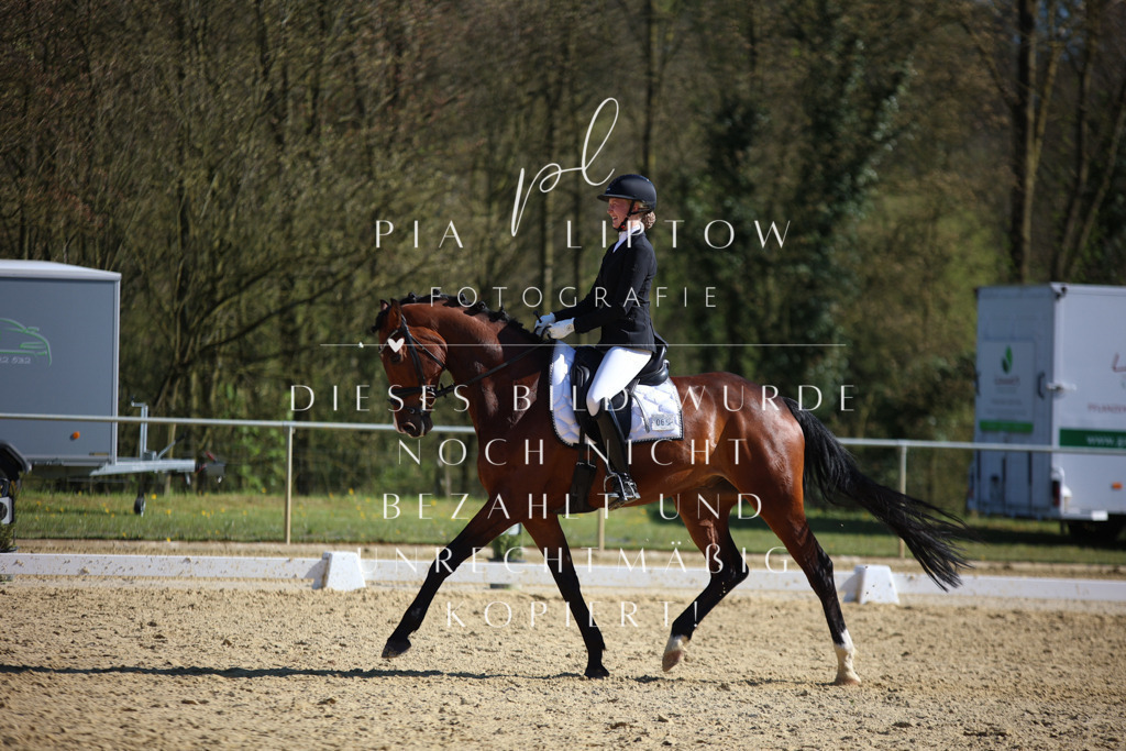 IMGT8972 | pl-fotografie