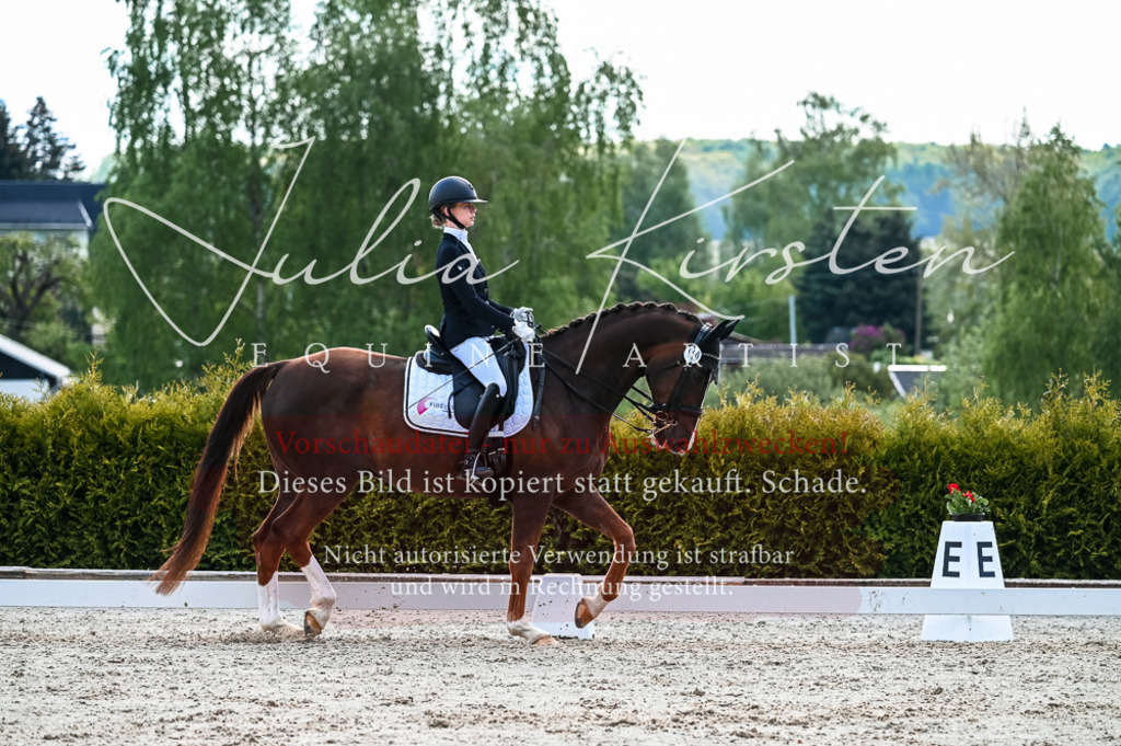 20230513_JK-Röhrsdorf-10-0471 | Pferde- und Turnierfotografie in Westsachsen. Pferdeportraits, Auftragszeichnungen und intuitive Kunst.